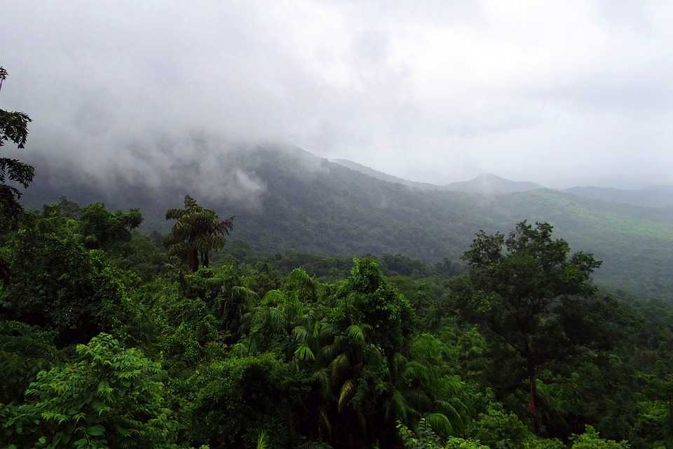 Bhagwan Mahavir Wildlife Sanctuary